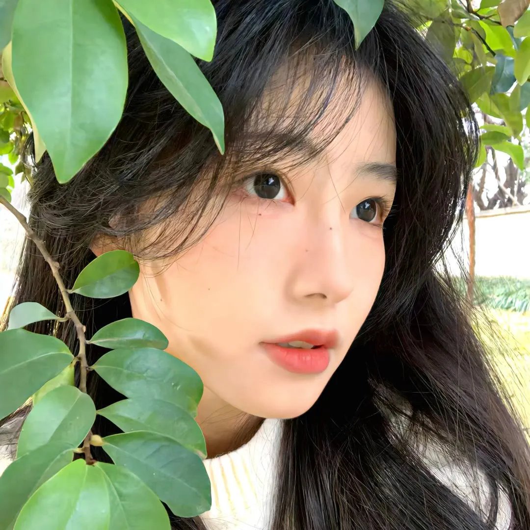 彩象岛的女孩儿